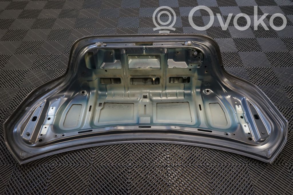 Tailgate/trunk/boot lid (5)