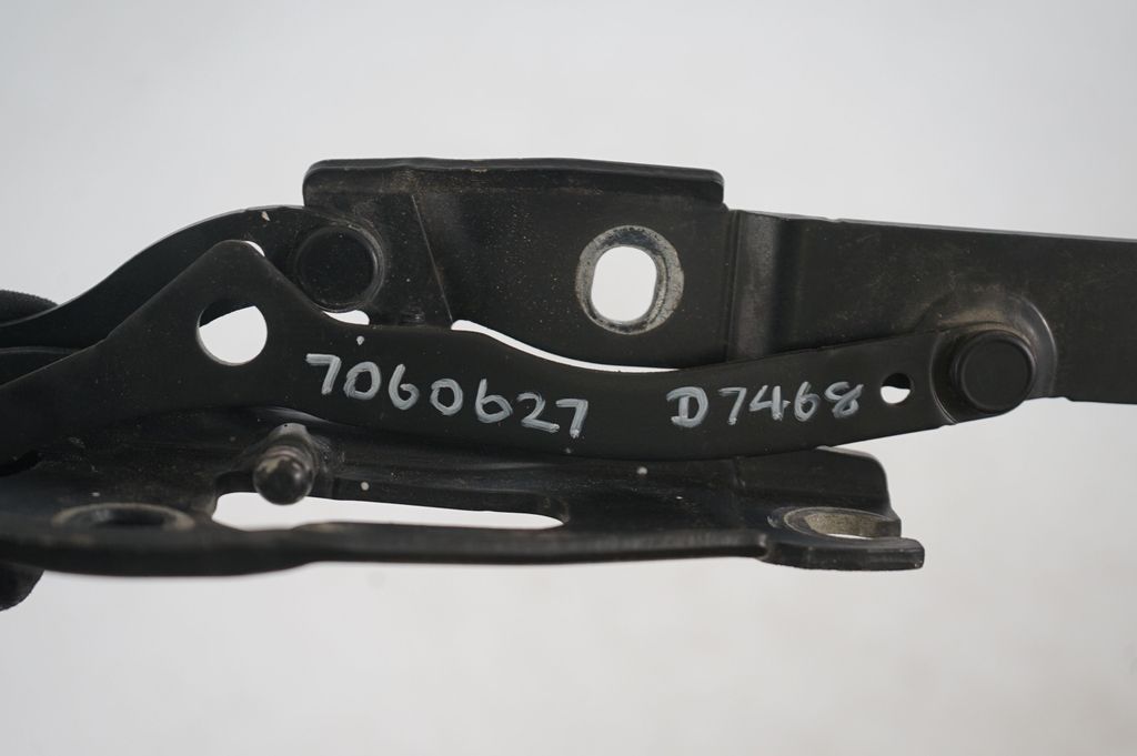 Tailgate/trunk/boot hinge (8)