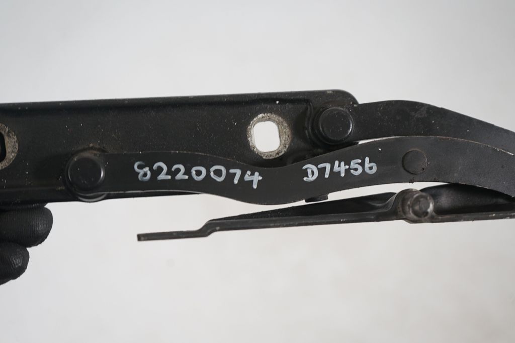 Tailgate/trunk/boot hinge (8)