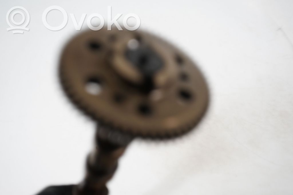 Rear differential (6)