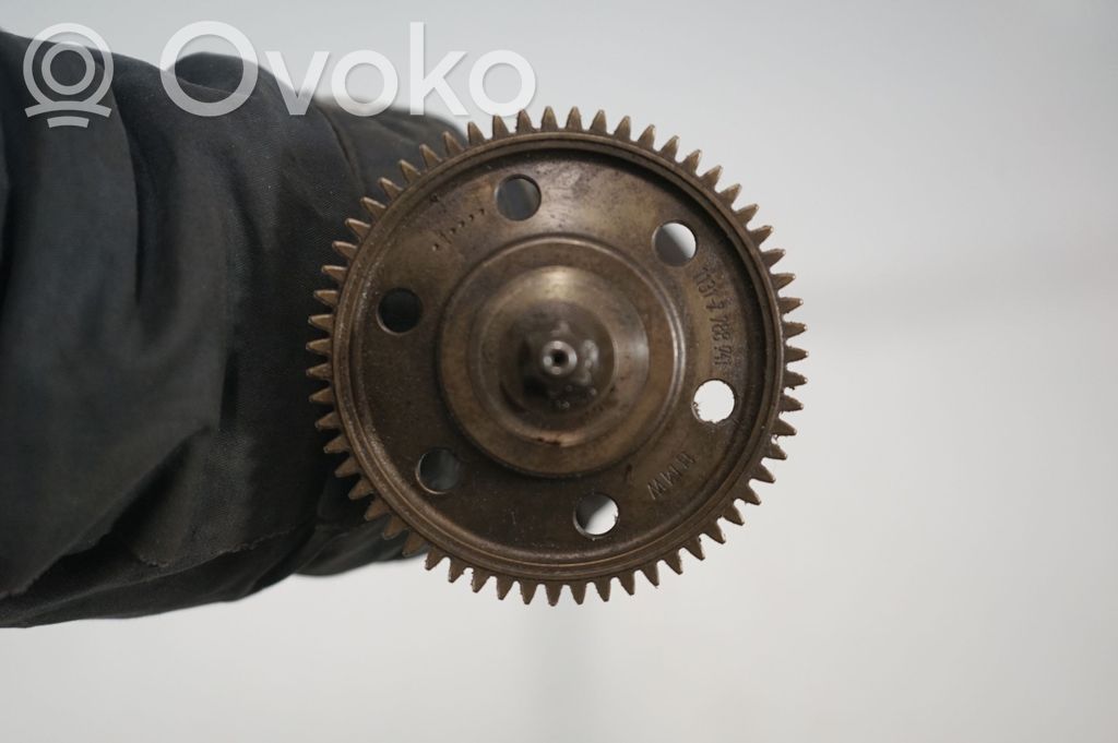 Camshaft (3)