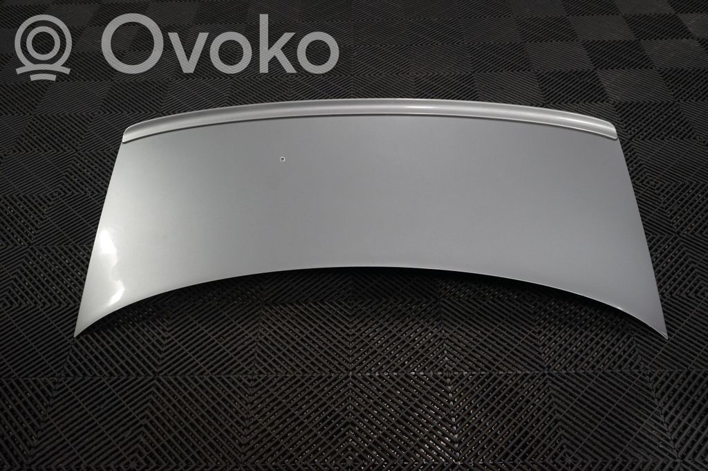 Tailgate/trunk/boot lid (3)