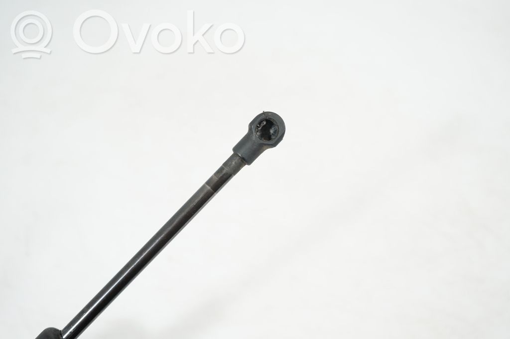 Front bonnet/hood damper/strut (5)