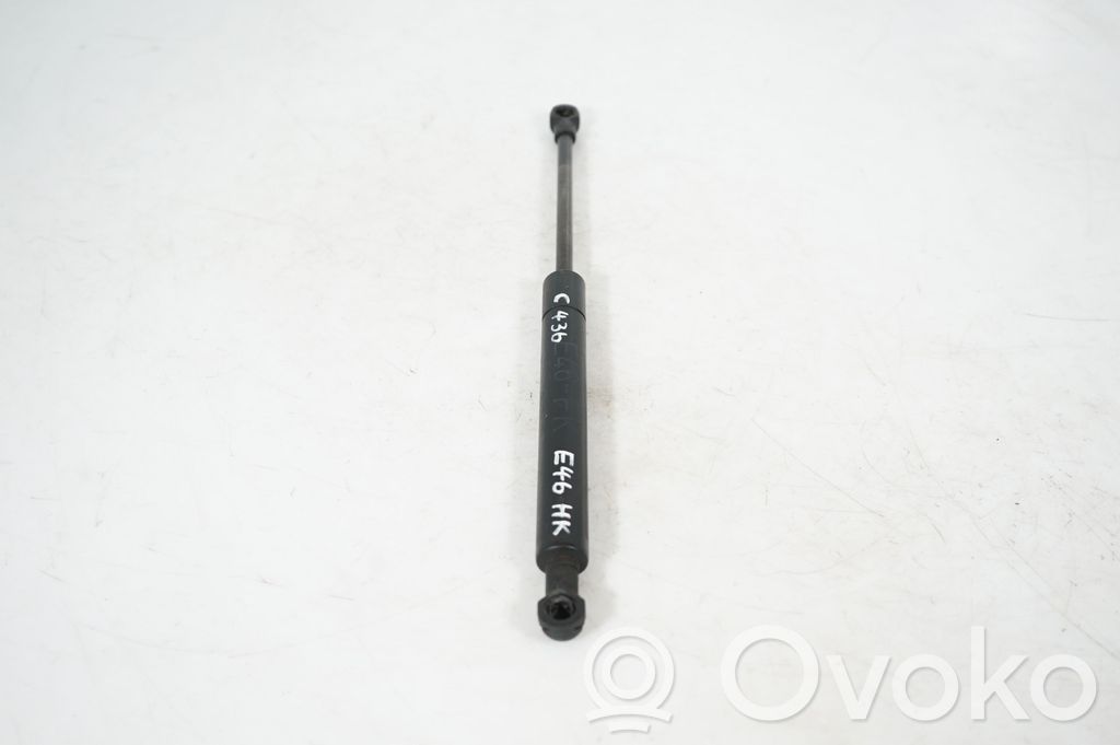 Front bonnet/hood damper/strut (7)