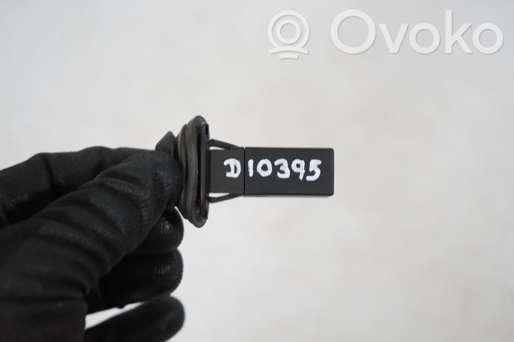 Fuel tank cap lock (10)