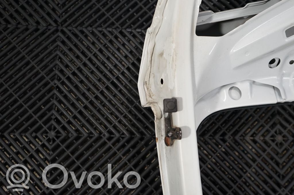 Tailgate/trunk/boot lid (6)