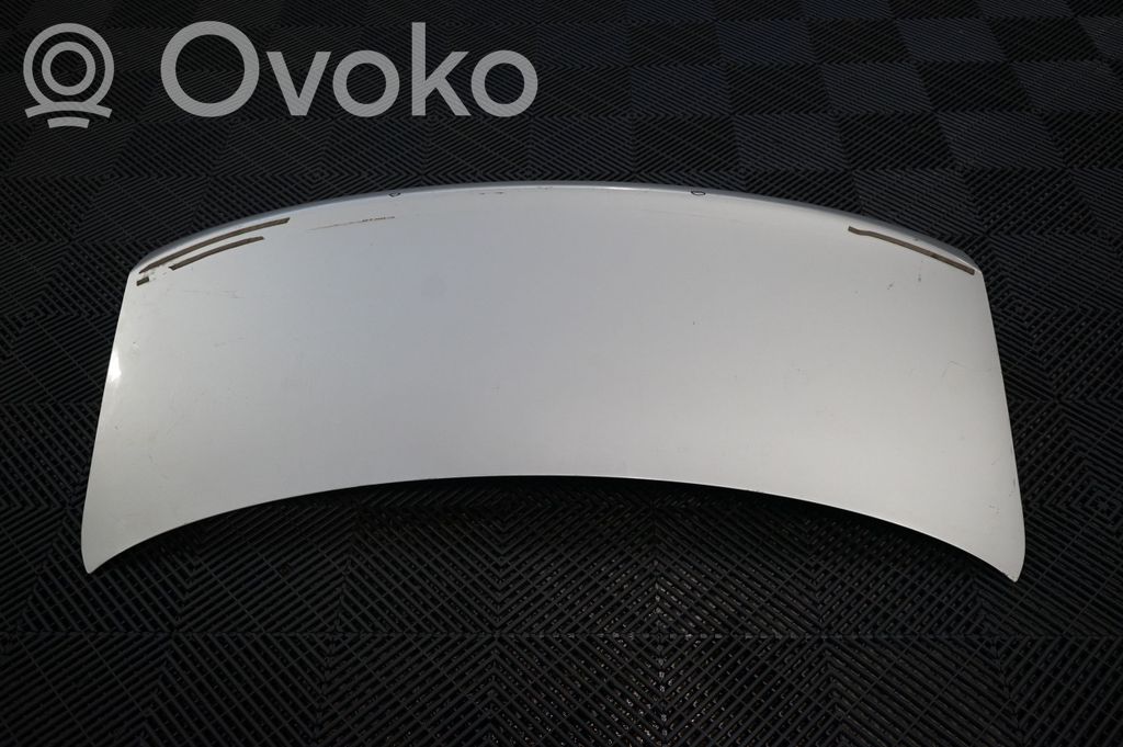 Tailgate/trunk/boot lid (3)