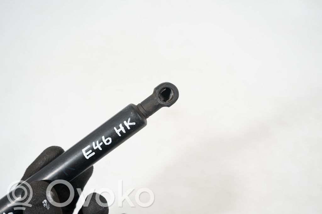 Front bonnet/hood damper/strut (10)