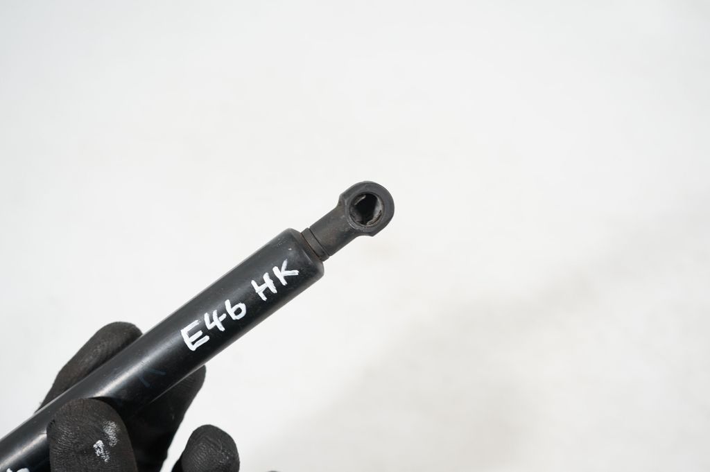 Front bonnet/hood damper/strut (10)