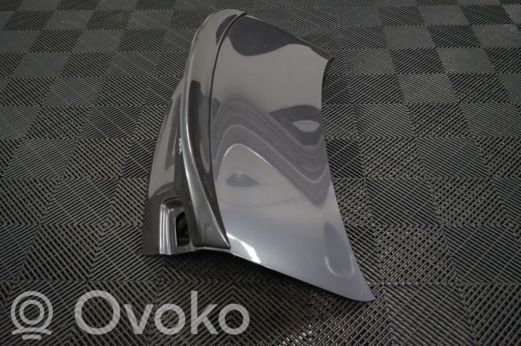 Tailgate/trunk/boot lid (2)
