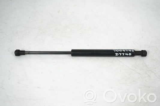 Front bonnet/hood damper/strut