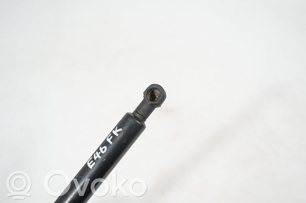 Front bonnet/hood damper/strut (6)