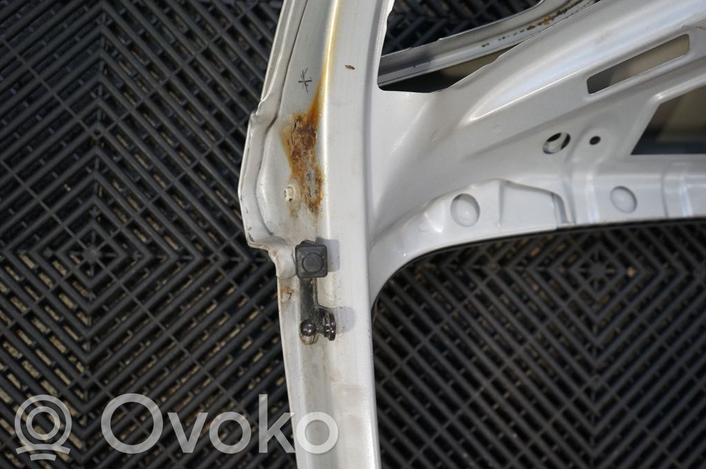 Tailgate/trunk/boot lid (6)