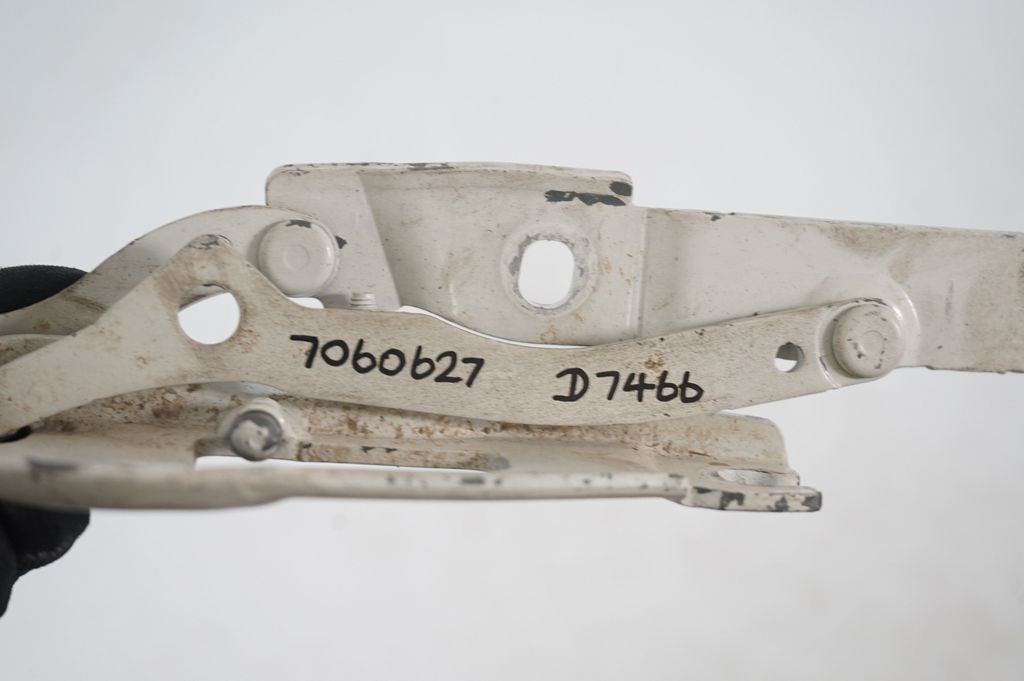 Tailgate/trunk/boot hinge (8)