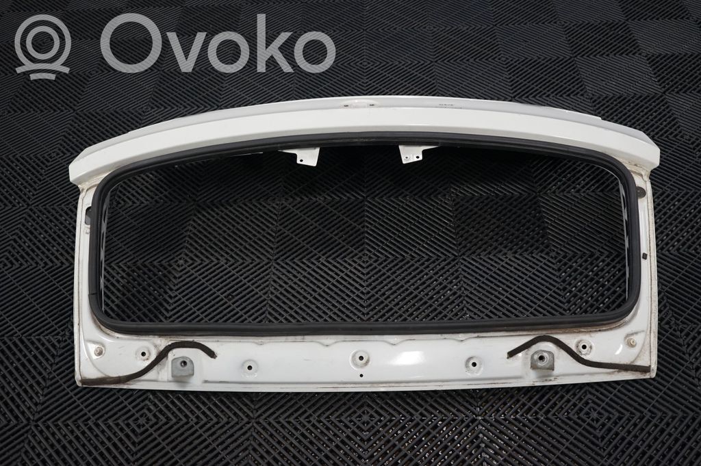 Tailgate/trunk/boot lid (3)