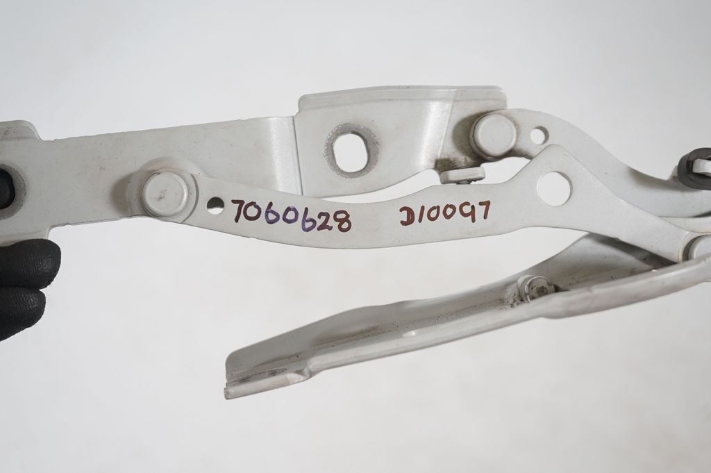 Tailgate/trunk/boot hinge (8)