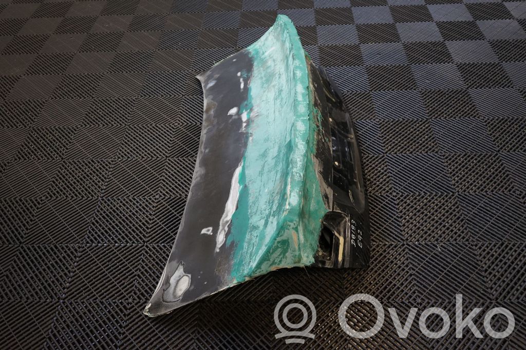 Tailgate/trunk/boot lid (4)