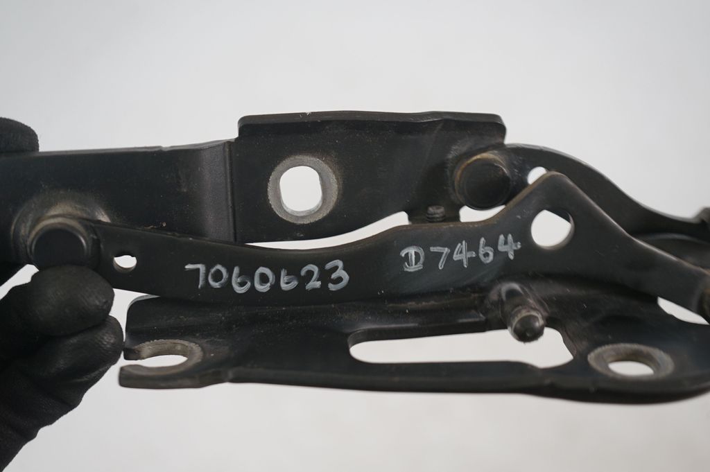 Tailgate/trunk strut/damper (8)