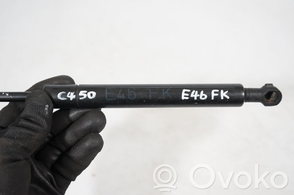 Front bonnet/hood damper/strut (7)