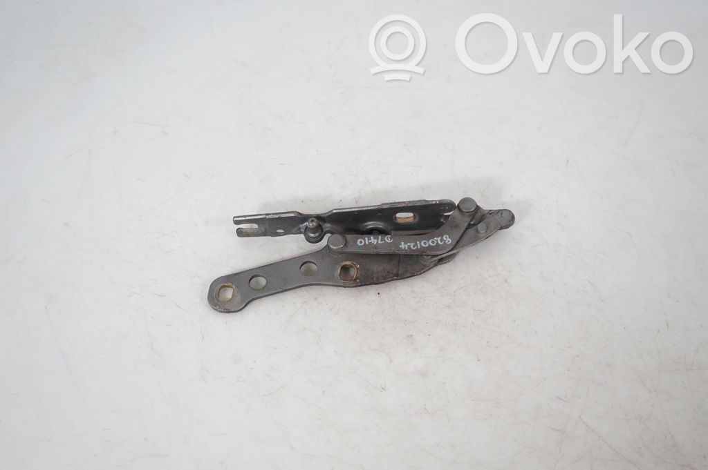 Engine bonnet/hood hinges (3)