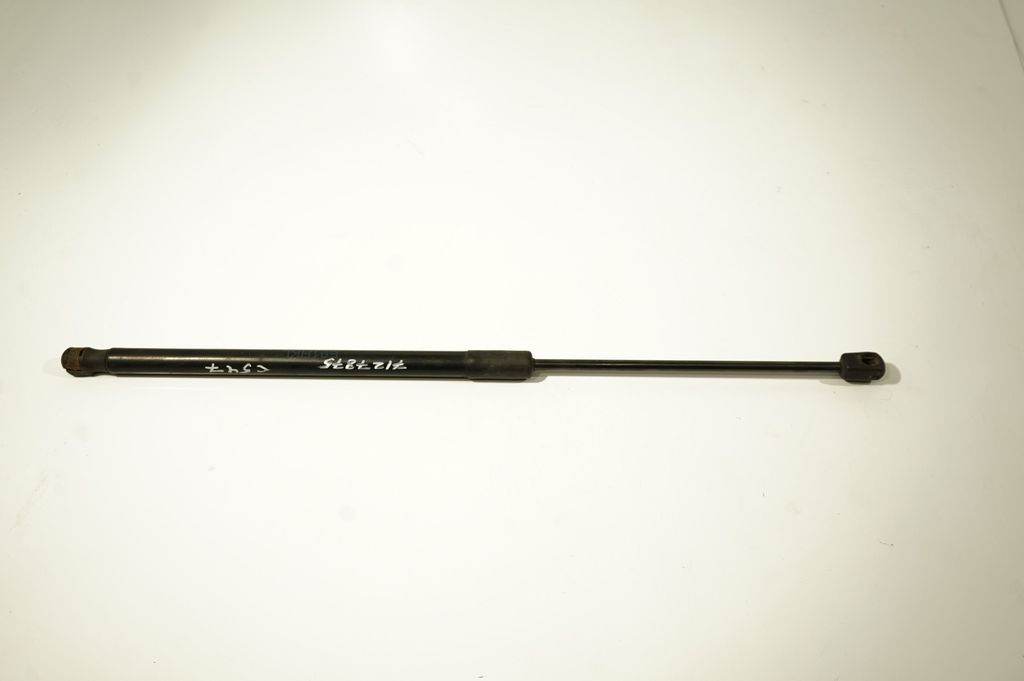 Tailgate/trunk strut/damper (3)