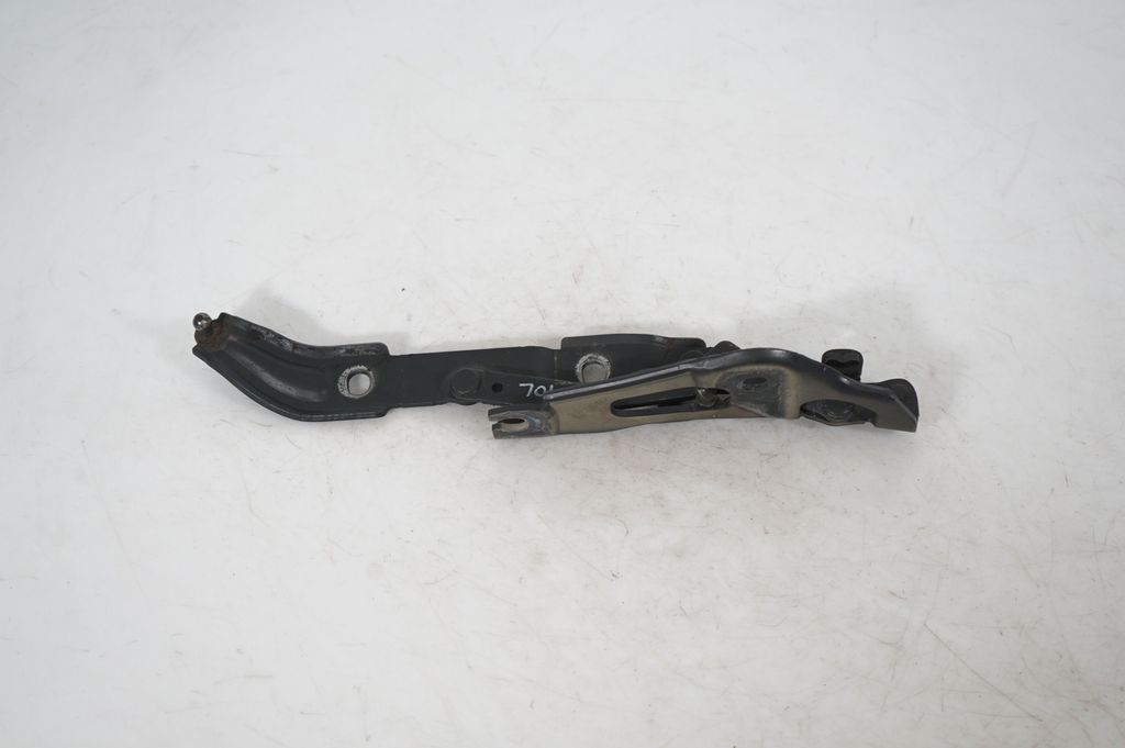 Tailgate/trunk/boot hinge