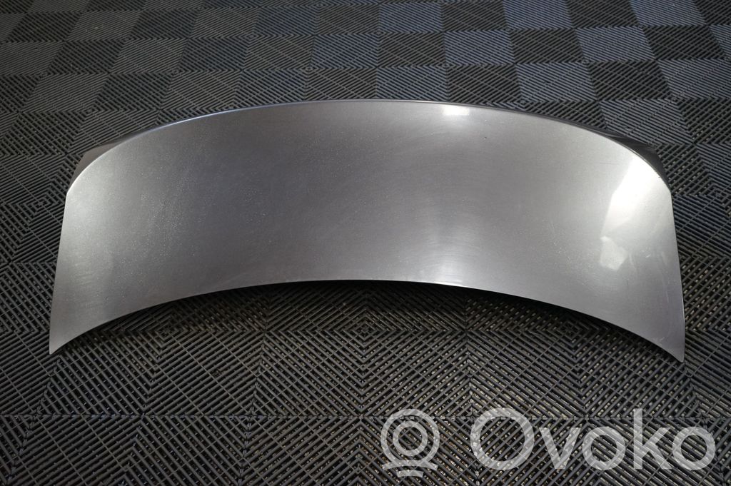 Tailgate/trunk/boot lid (3)