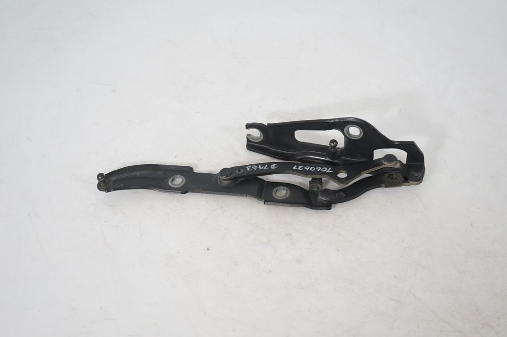 Tailgate/trunk/boot hinge (3)