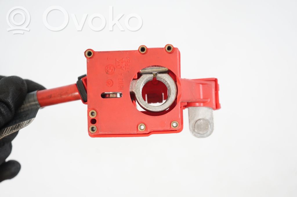 Positive cable (battery) (8)