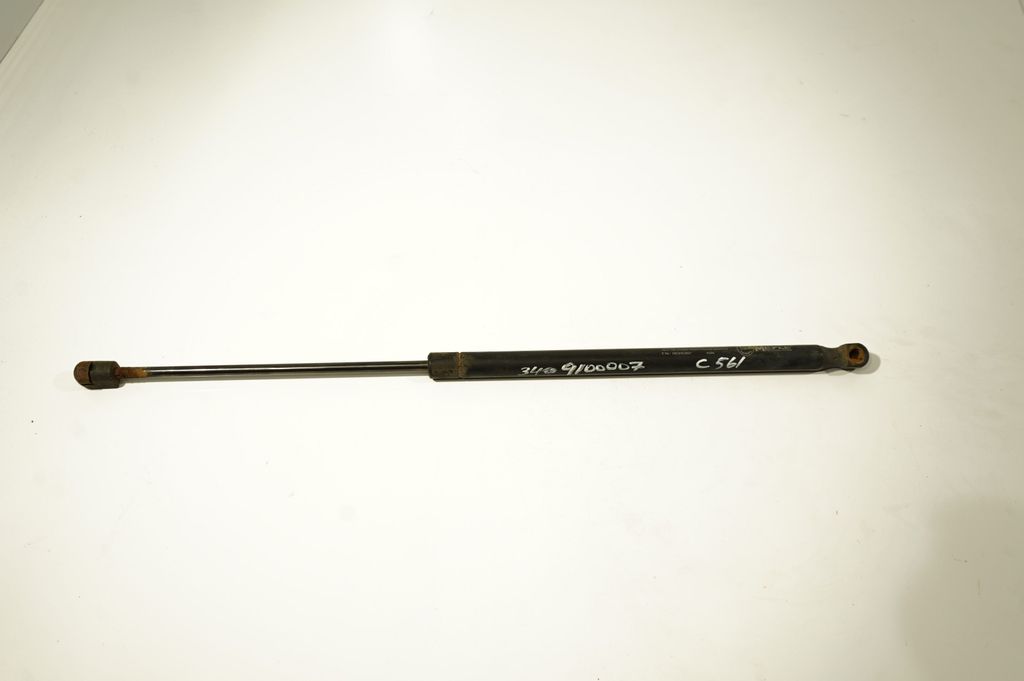 Tailgate/trunk strut/damper