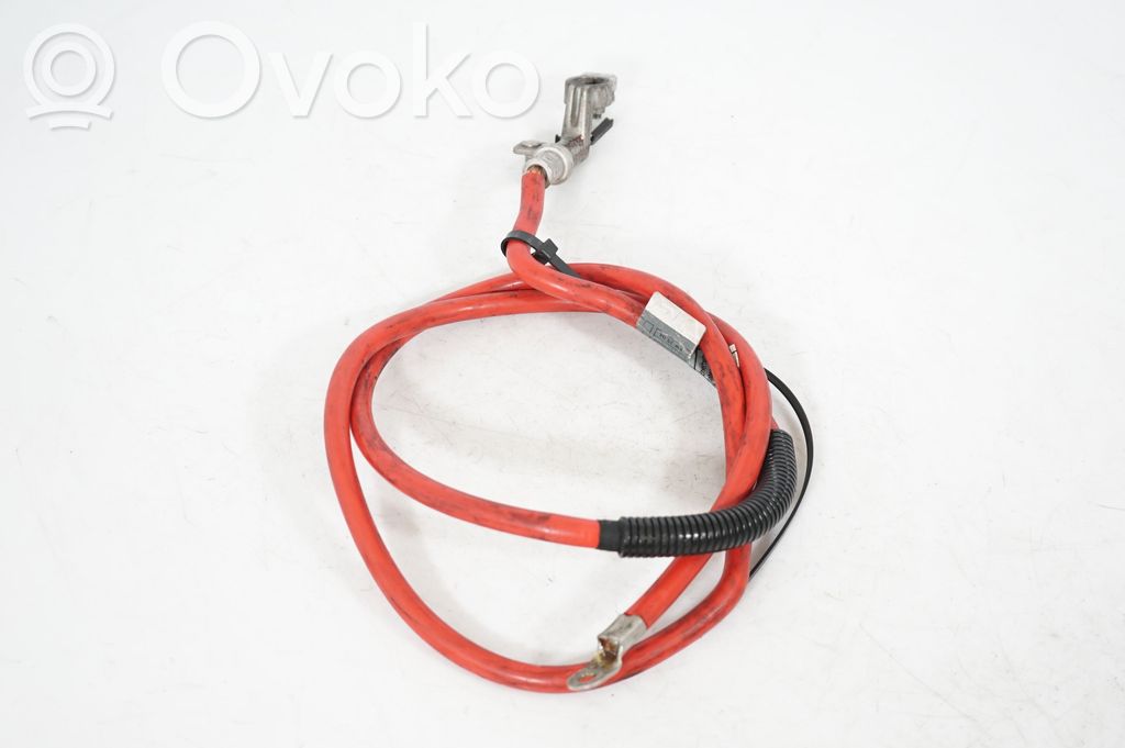 Positive cable (battery) (2)