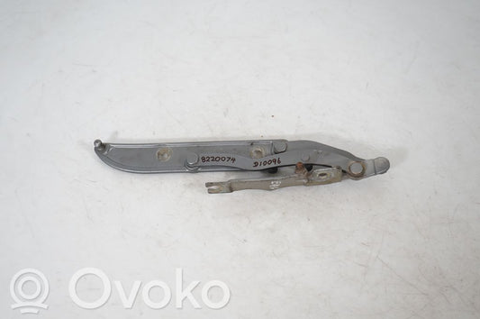 Tailgate/trunk/boot hinge