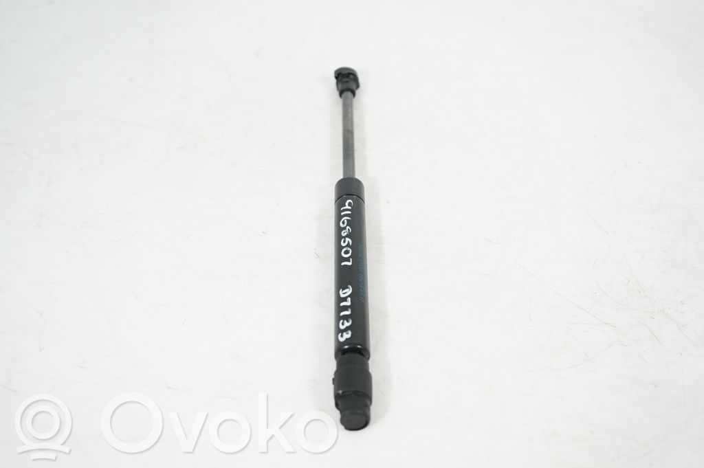 Tailgate/trunk strut/damper (2)