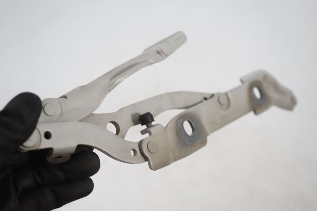 Tailgate/trunk/boot hinge (7)