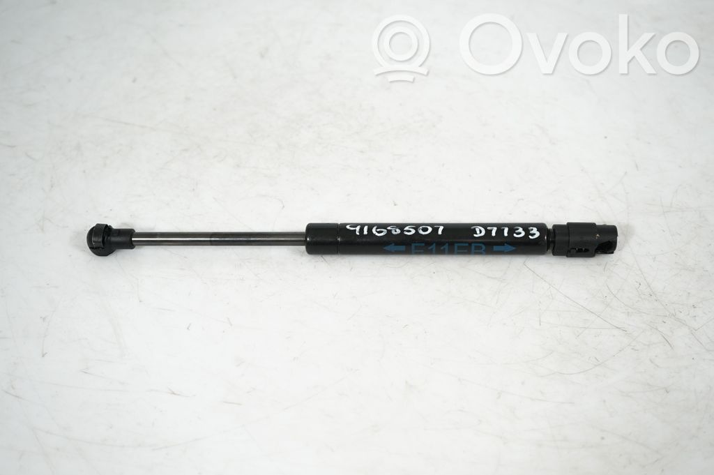 Tailgate/trunk strut/damper