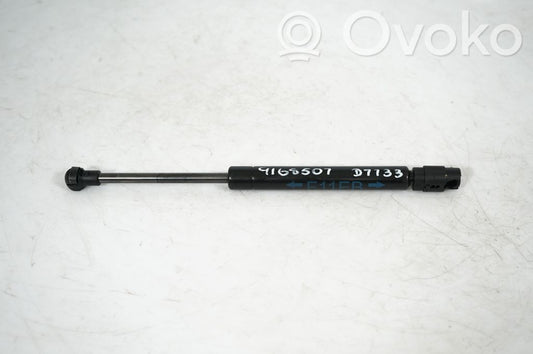 Tailgate/trunk strut/damper