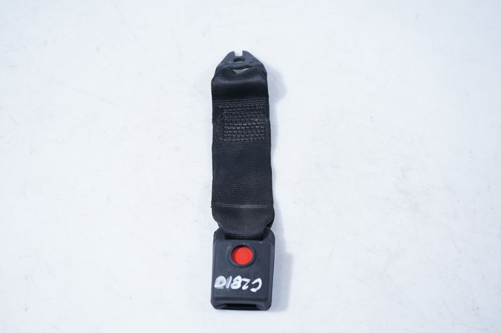 Rear seatbelt buckle (4)