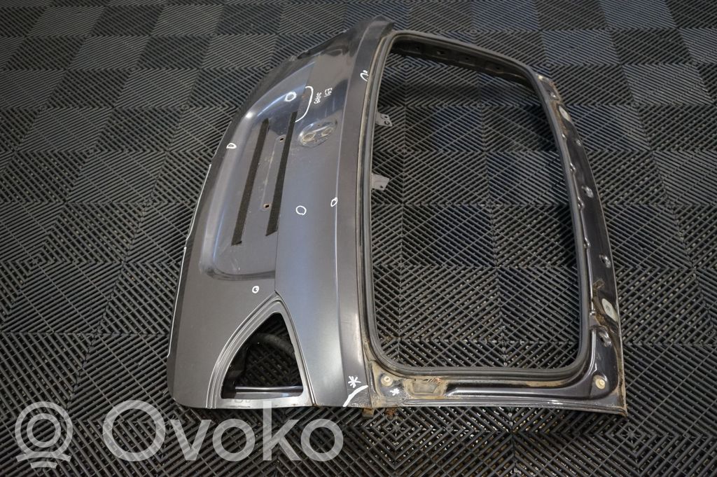 Tailgate/trunk/boot lid (2)