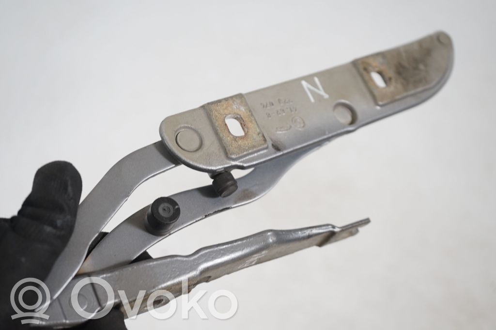 Tailgate/trunk/boot hinge (7)