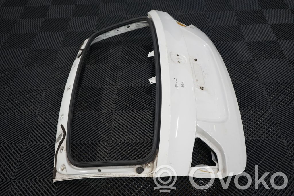 Tailgate/trunk/boot lid (4)