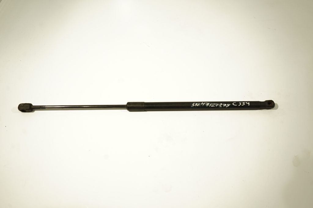 Tailgate/trunk strut/damper