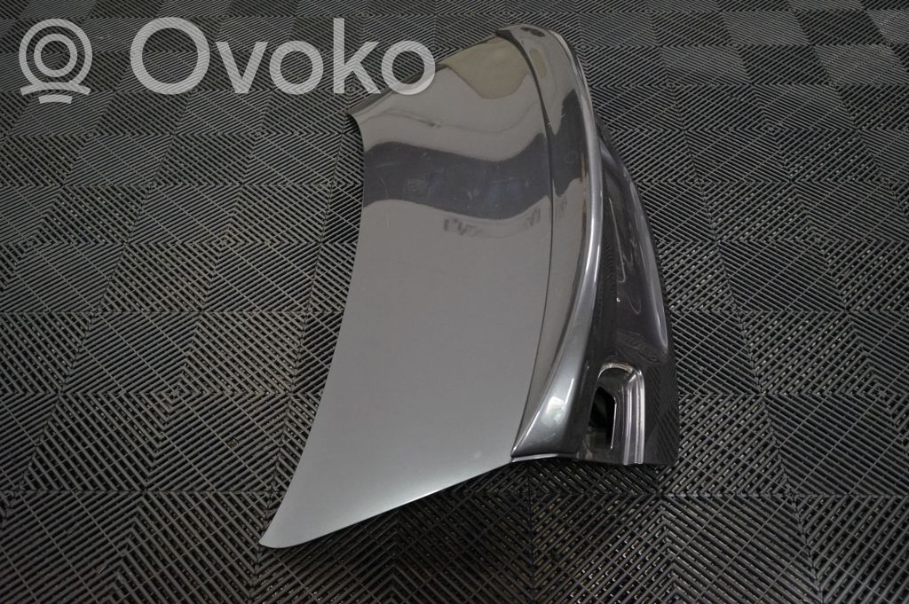 Tailgate/trunk/boot lid (4)