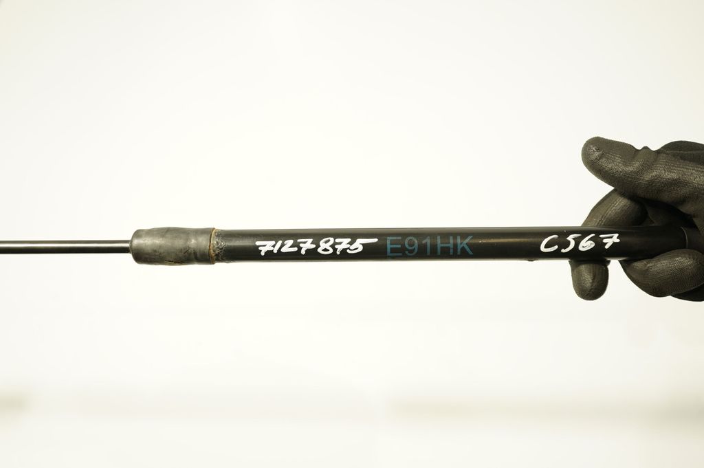 Tailgate/trunk strut/damper (8)