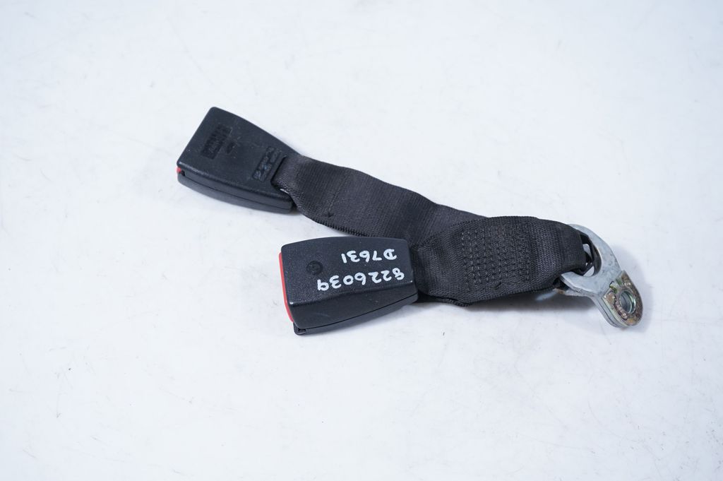 Rear seatbelt buckle (6)