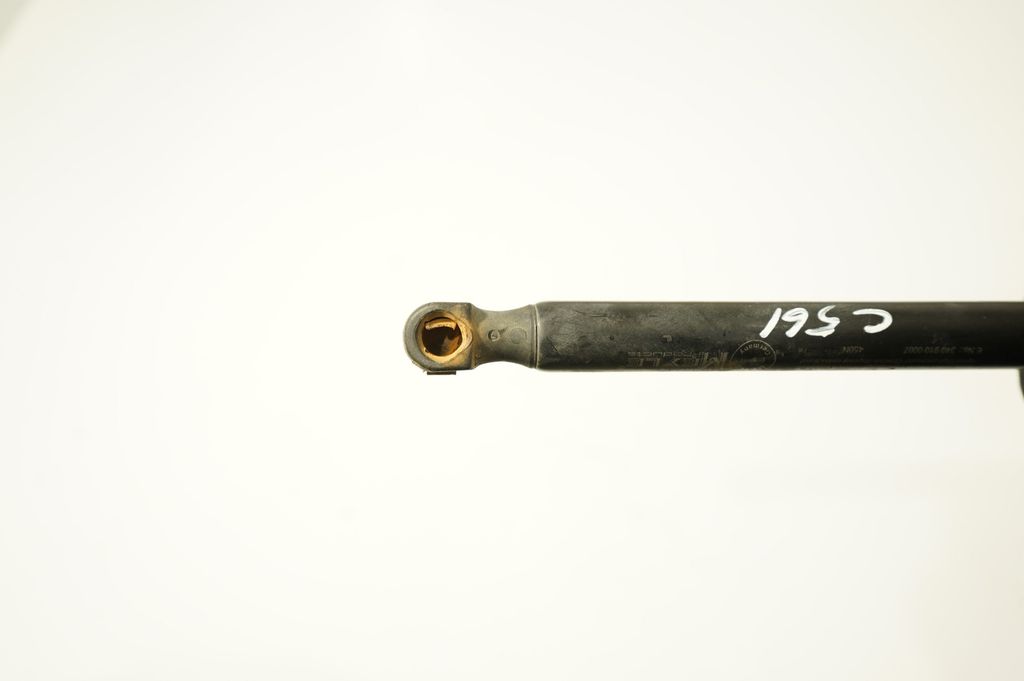 Tailgate/trunk strut/damper (7)