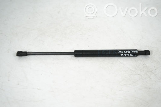 Front bonnet/hood damper/strut