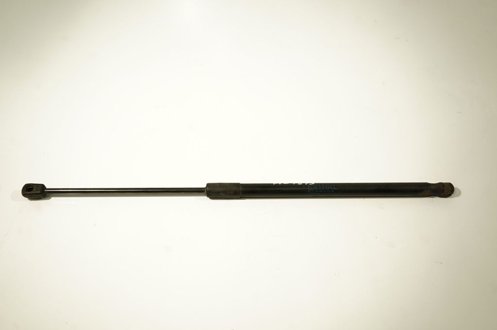 Tailgate/trunk strut/damper
