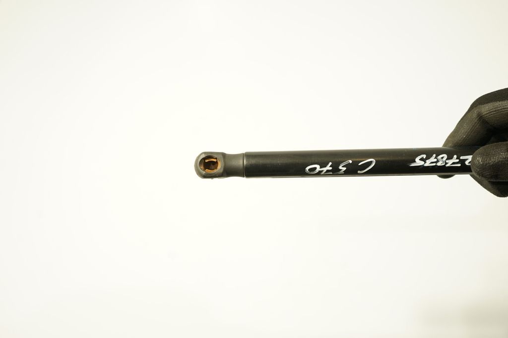 Tailgate/trunk strut/damper (7)