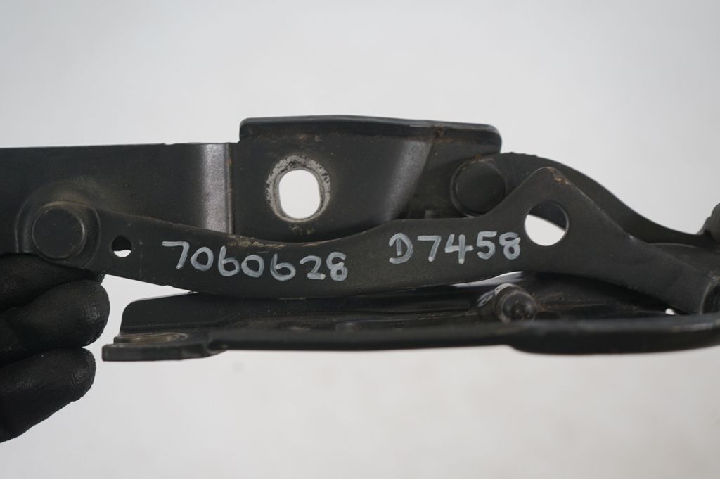 Tailgate/trunk/boot hinge (8)