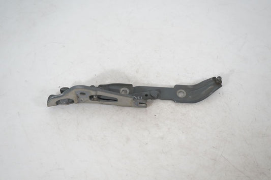 Tailgate/trunk/boot hinge